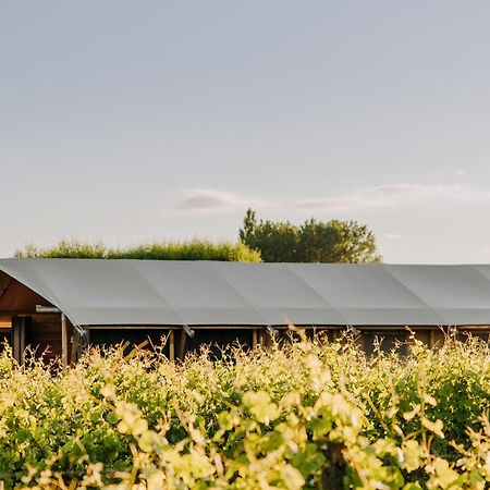 Villas & Vines Glamping Hastings Zewnętrze zdjęcie