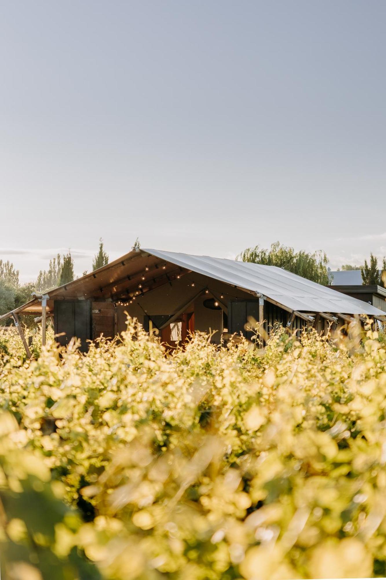 Villas & Vines Glamping Hastings Zewnętrze zdjęcie