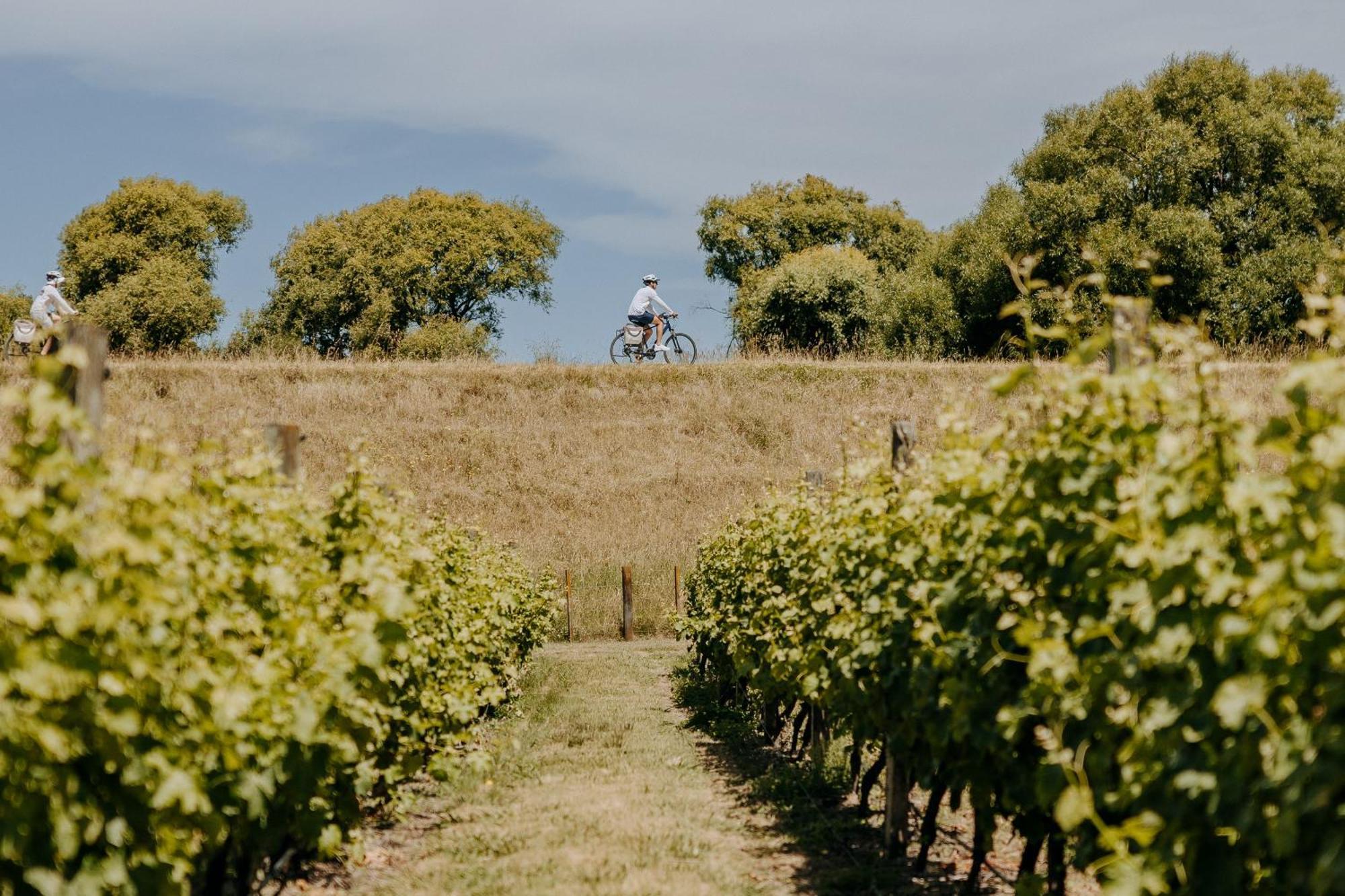 Villas & Vines Glamping Hastings Zewnętrze zdjęcie